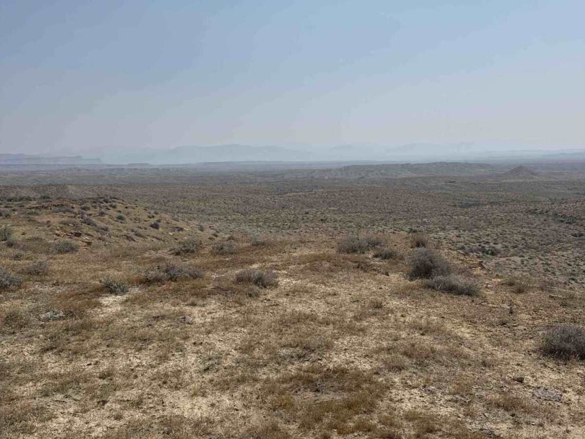 BLM 116 photo 4