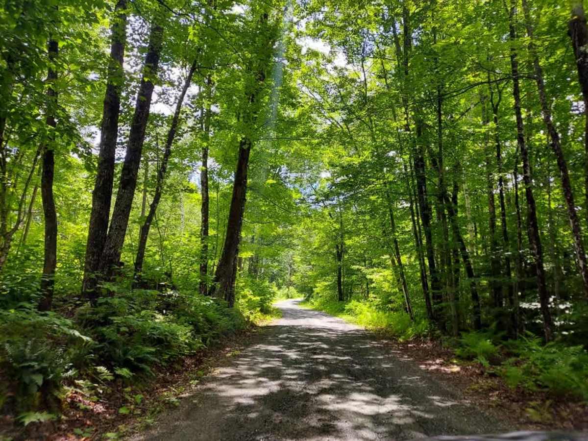 Curtis Hollow Road photo 4