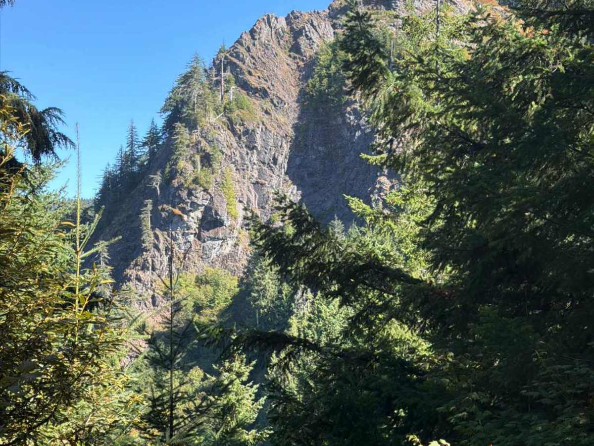 Upper Neal Creek Road photo 2