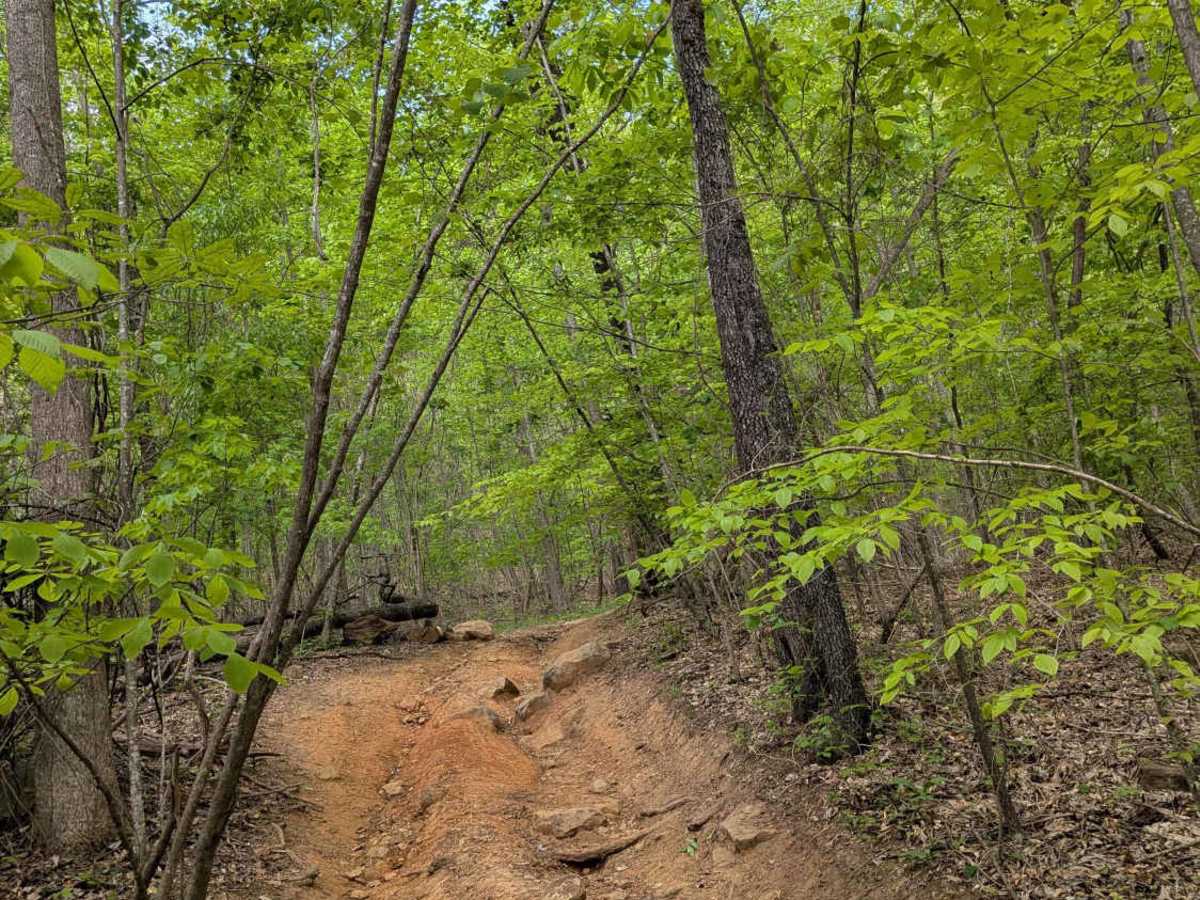 Trail 30 photo 5