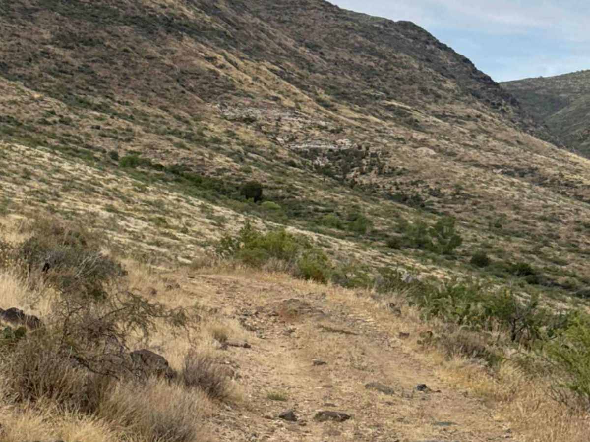 BLM 36046 photo 2