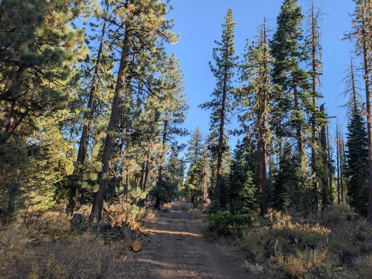 FS 26N06 trail photo