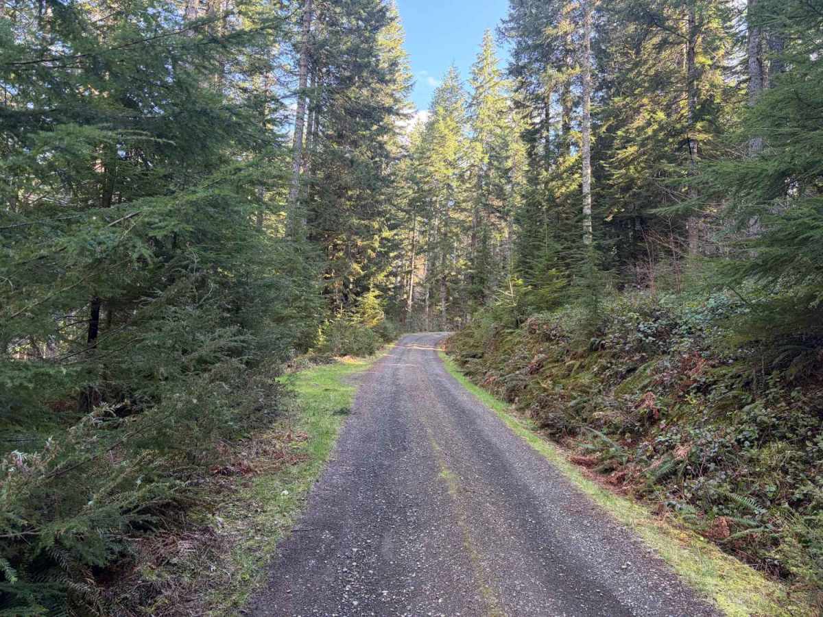 Section 10 Road photo 4