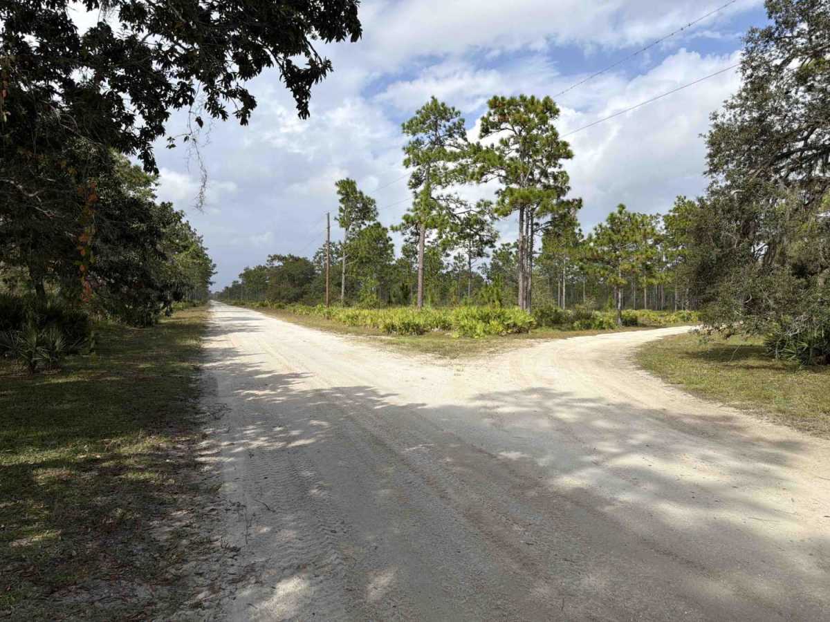 Williams Road - Three Lakes WMA photo 5