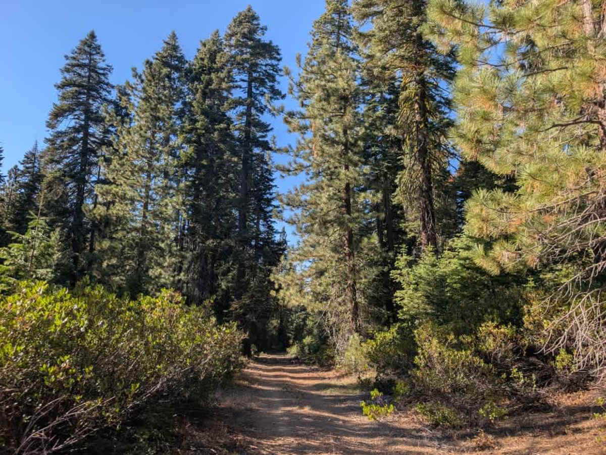Willow Creek Road  photo 2