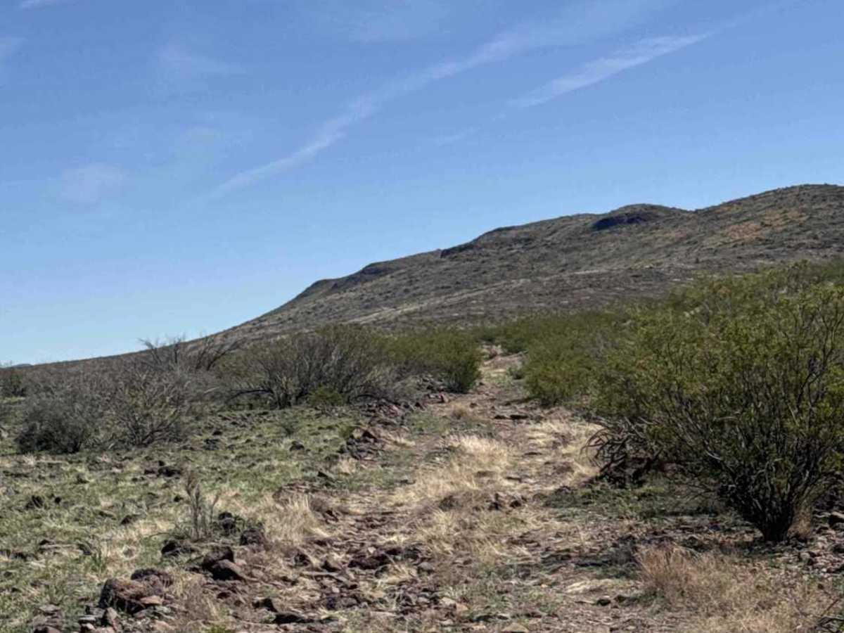 Ss1051b photo 2