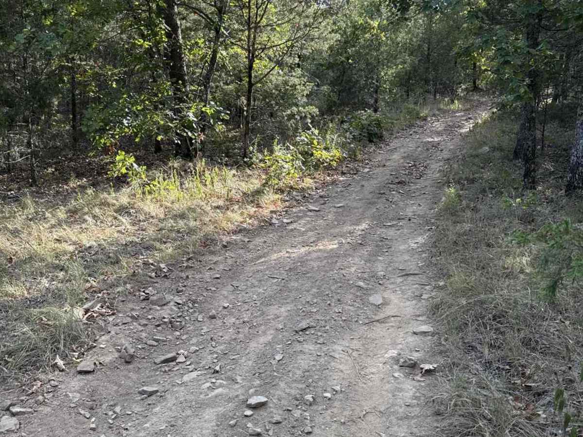 Iwa Ridge photo 3