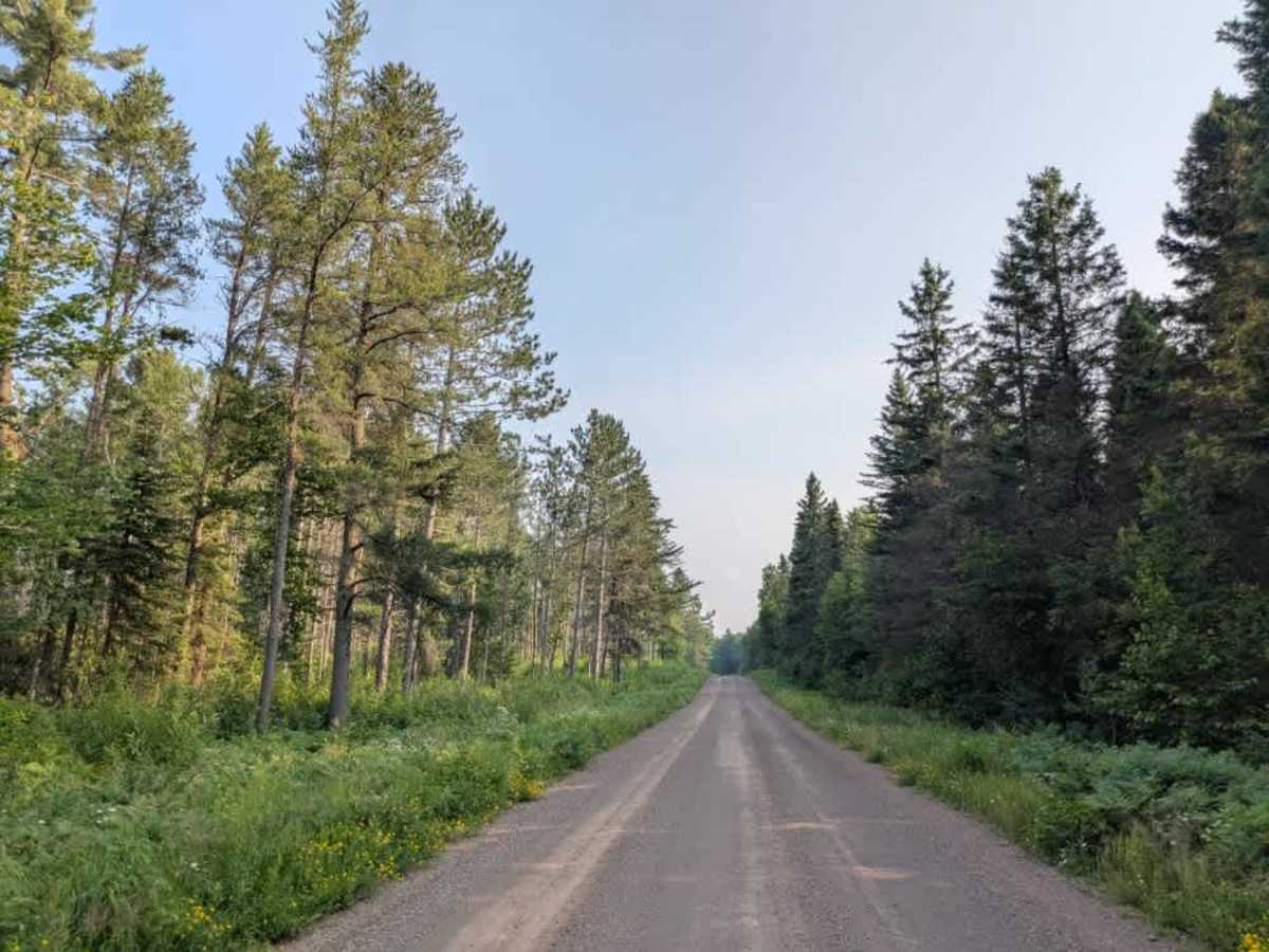 Wanless Trail photo 4