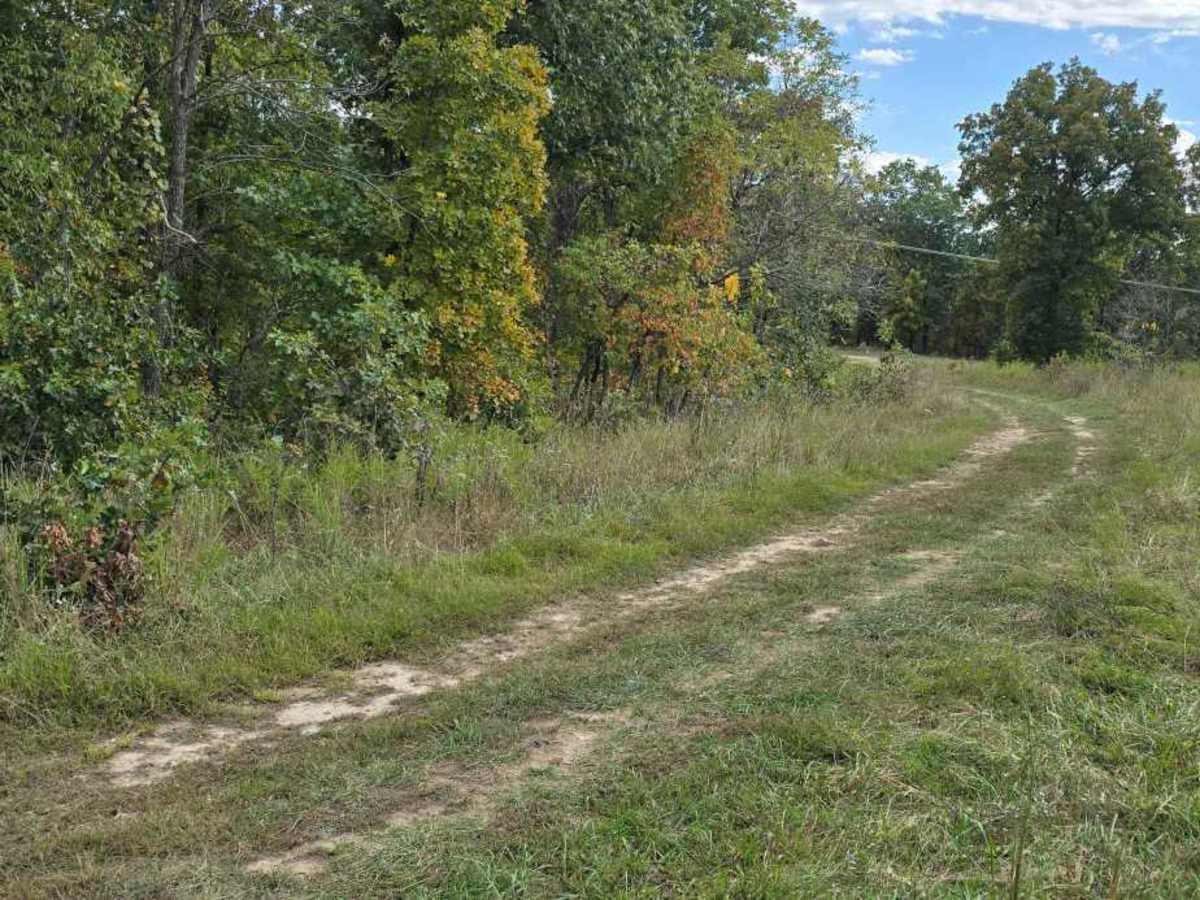 Upper Field Trail photo 3