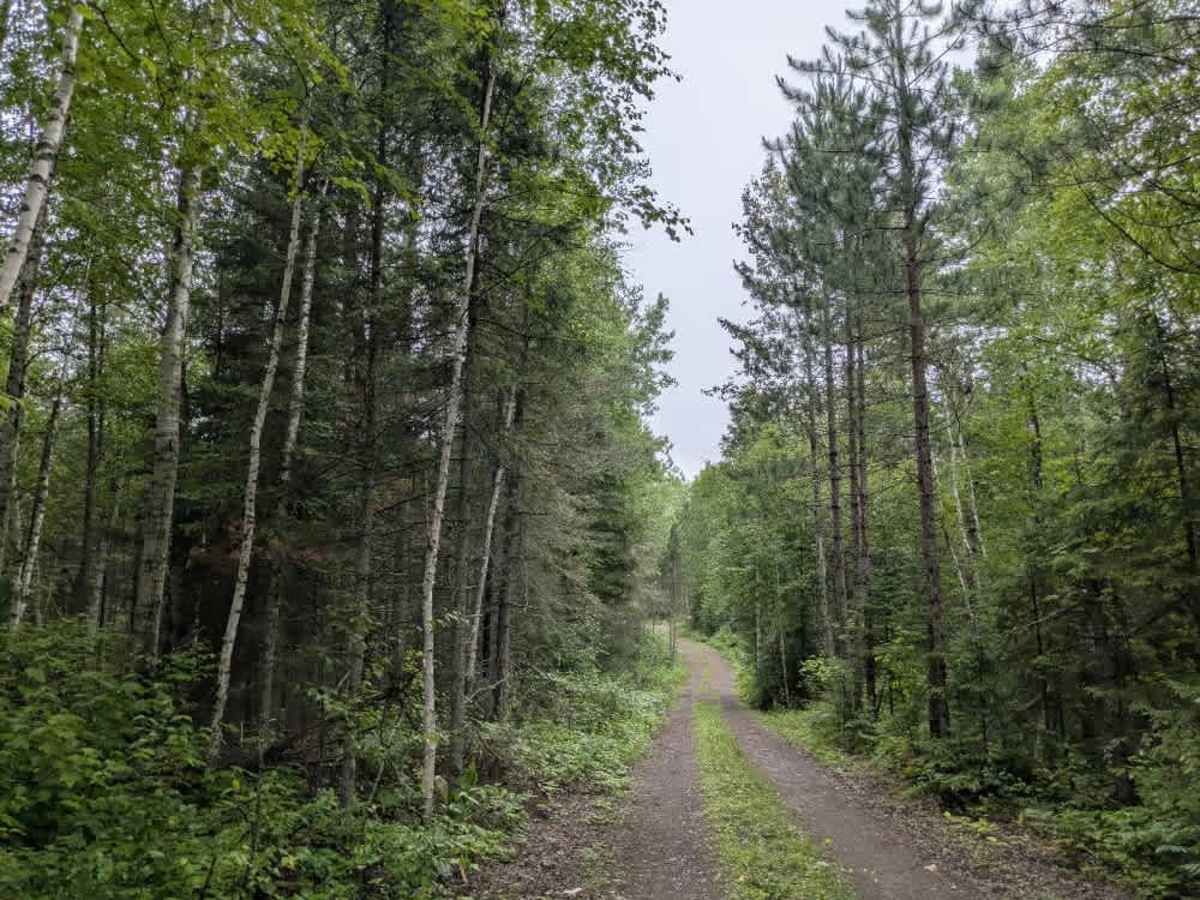 1451 trail photo