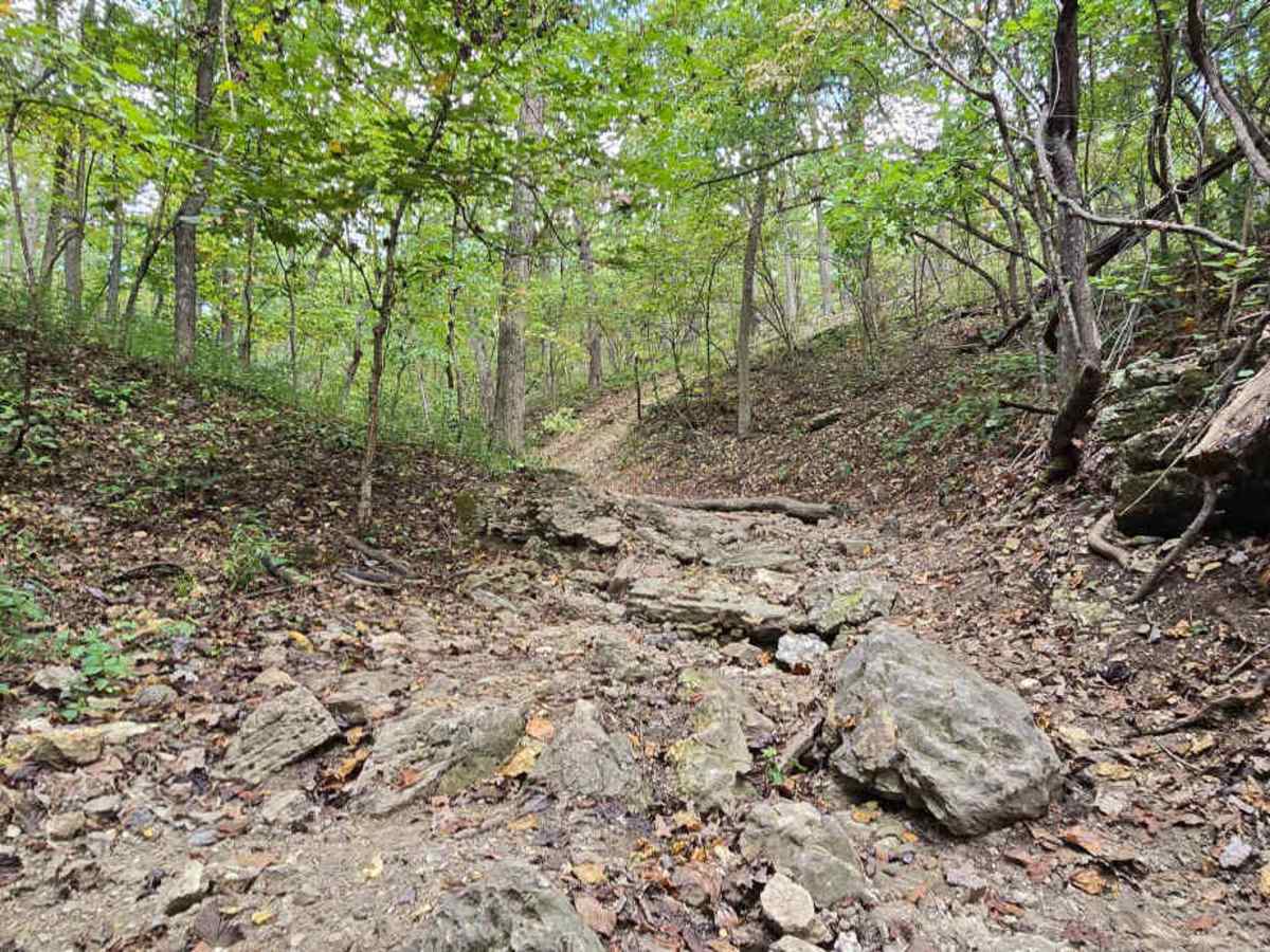 Barely Hung Trail photo 2