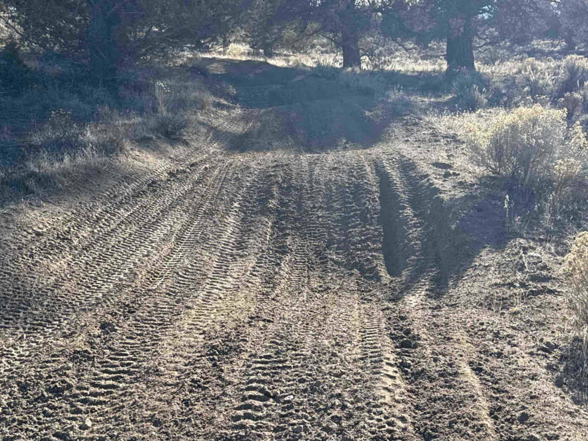 Millican Plateau OHV Trail 55 photo 3