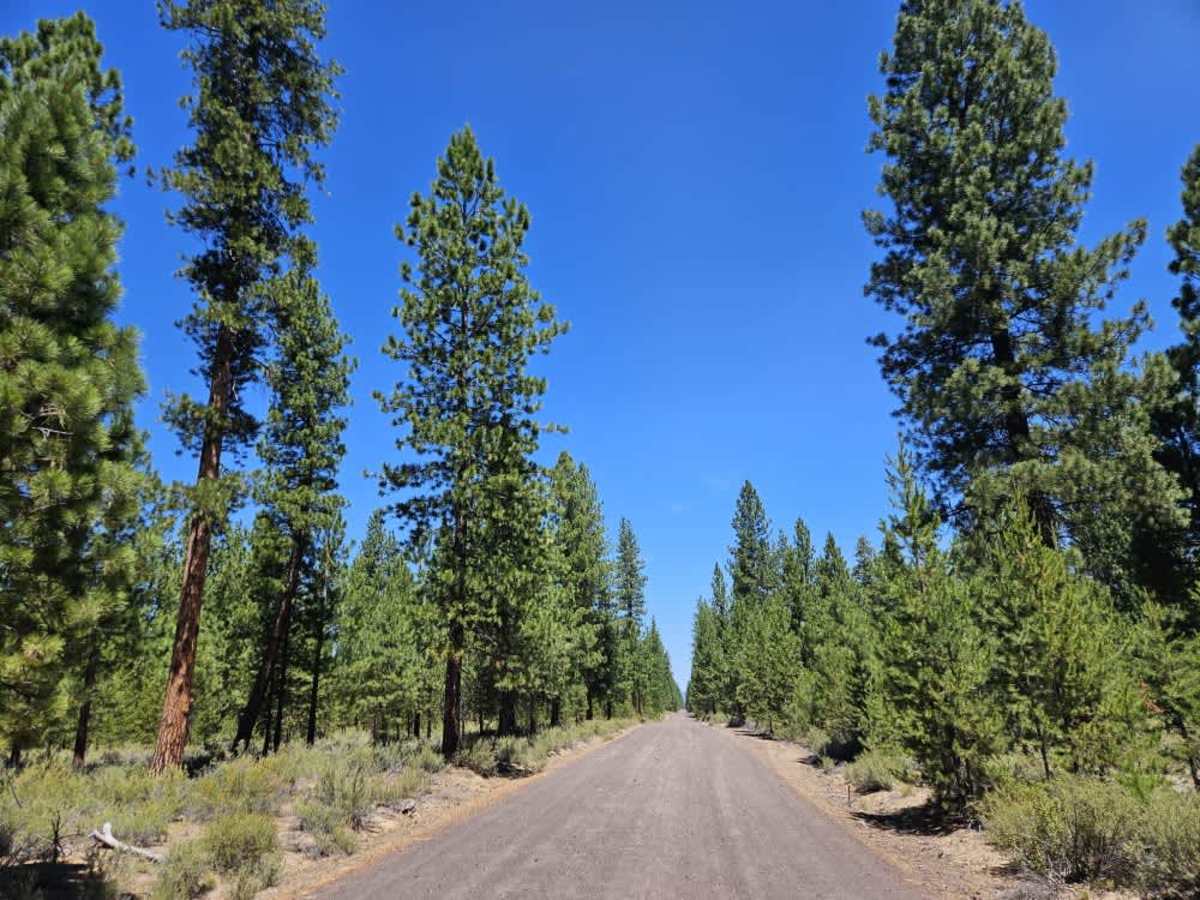 FS 4330000  trail photo