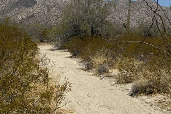 Northbound Powerline 