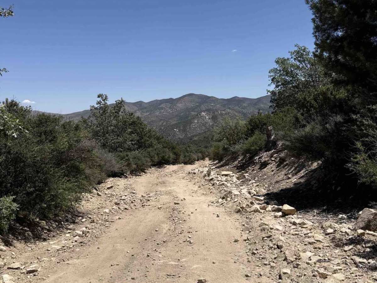 Rouse Ranch photo 5