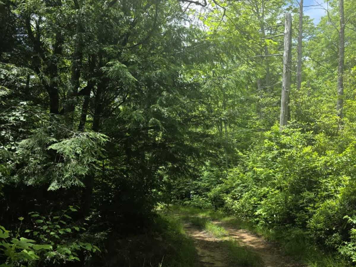 Kennedy Cabin photo 3