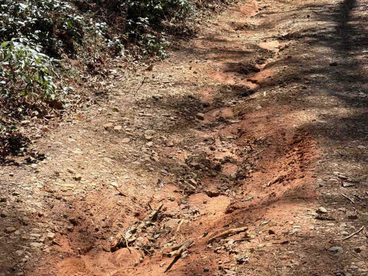 Crow Creek - FS 27 trail photo