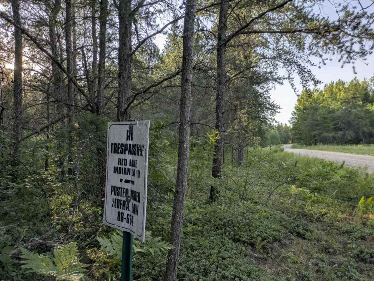 Santa Anna Forest Road photo 3