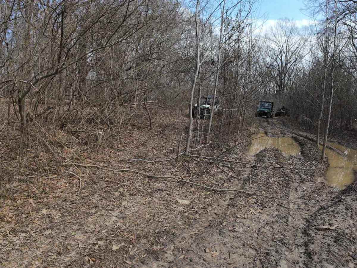 Wolf Creek Trail photo 3