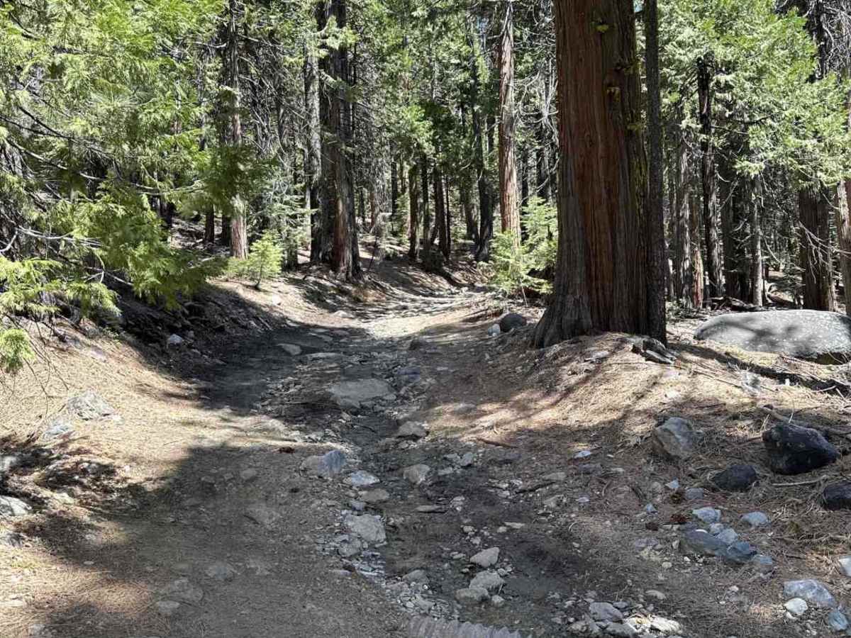 Weaver Lake photo 6