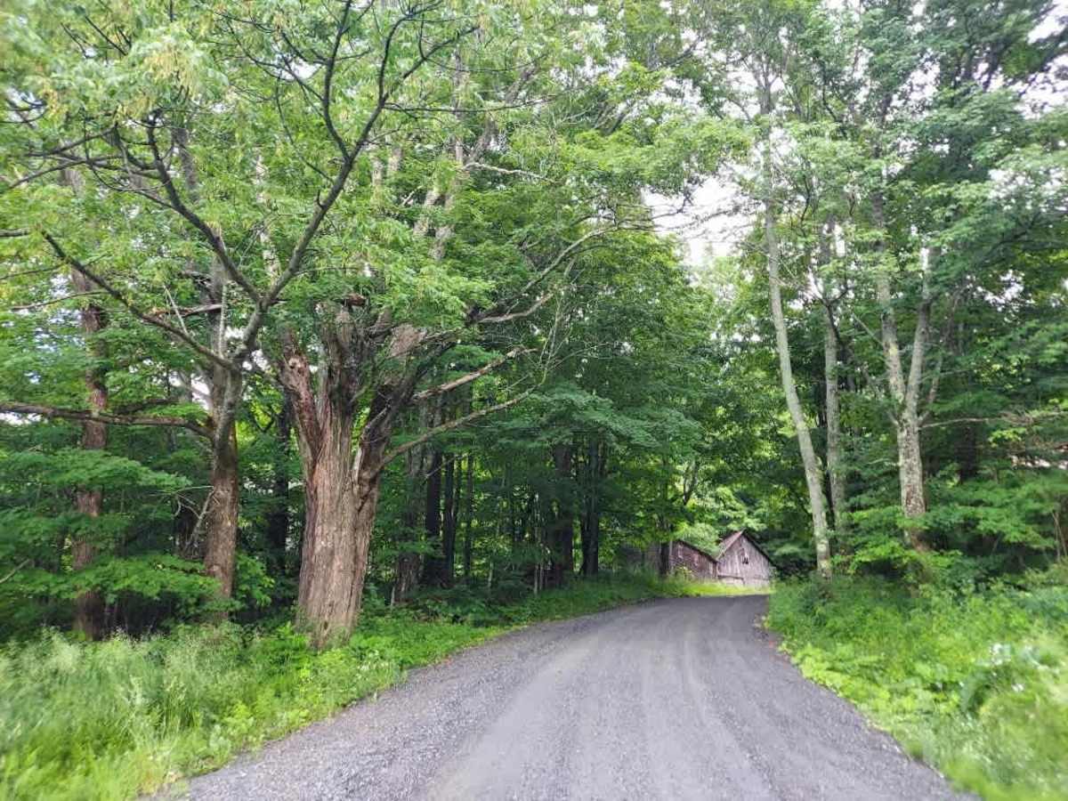 Webster Hill Road photo 2