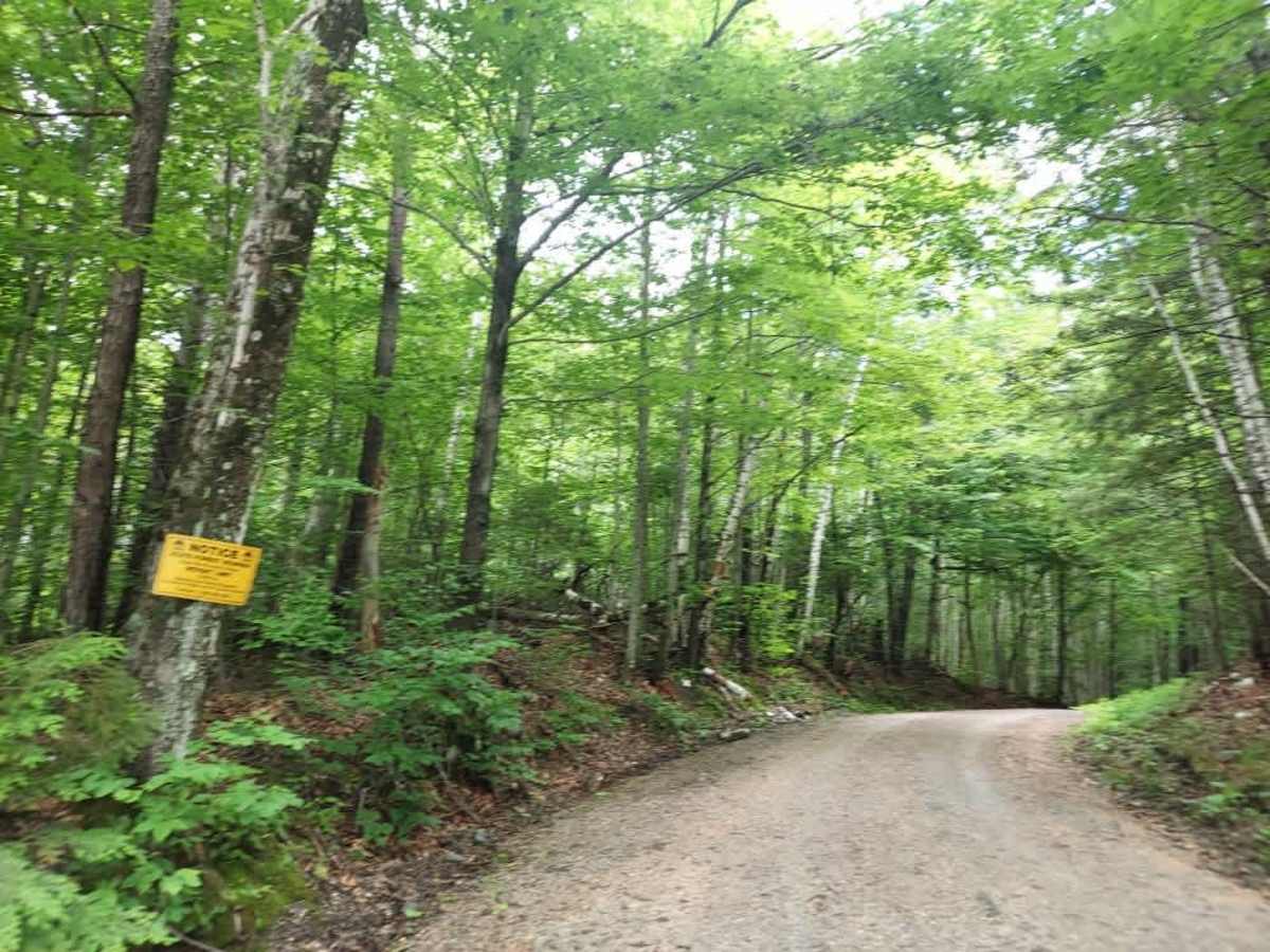Quarry Road trail photo