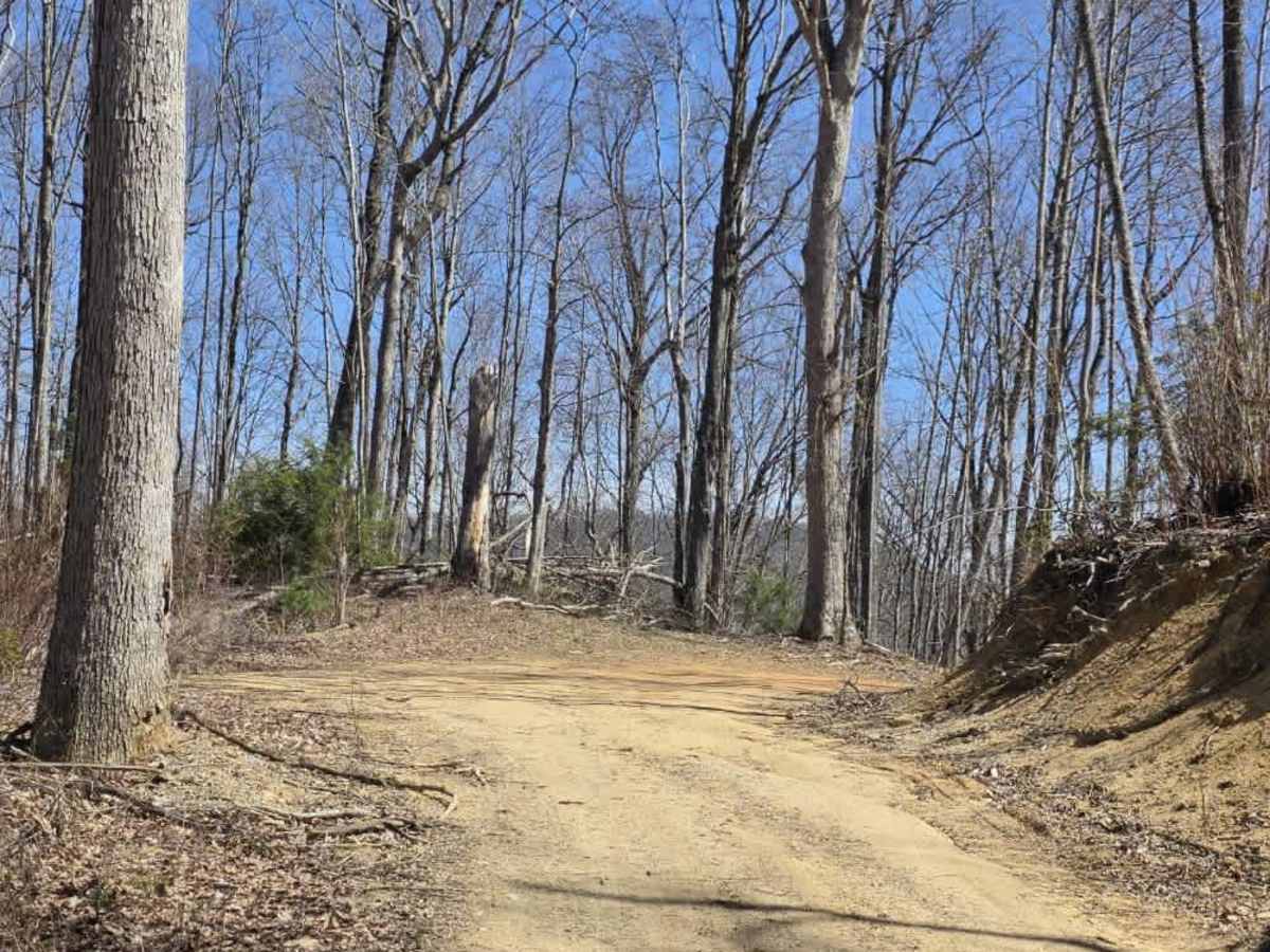 Cedar Gap photo 5