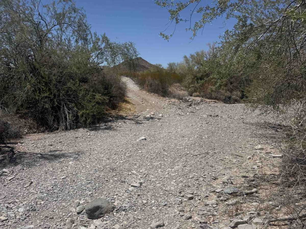 Hs57m trail photo
