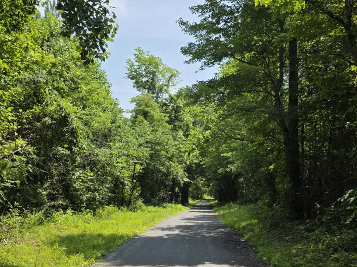Goose Horn Road - Macon County Tour photo 4