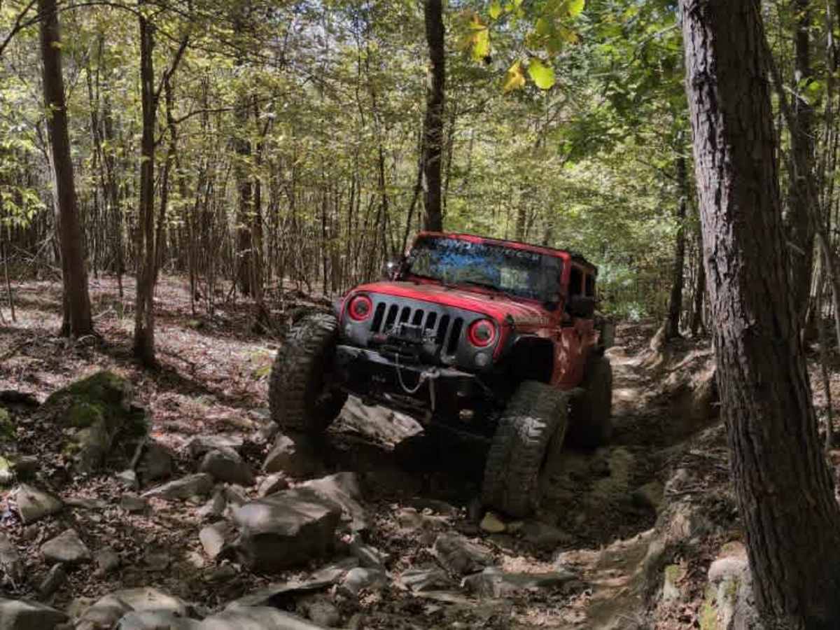 #20 Sidewinder photo 6