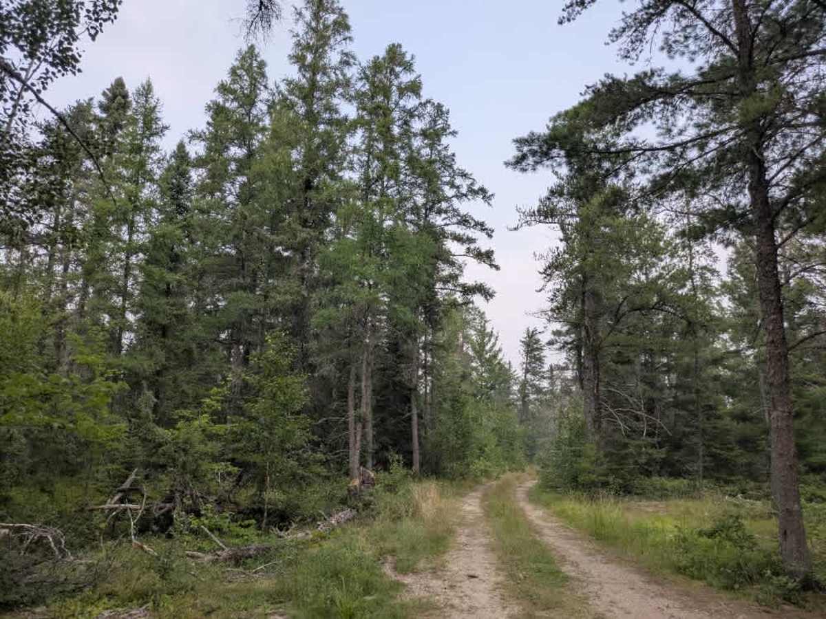 Muckawa photo 3