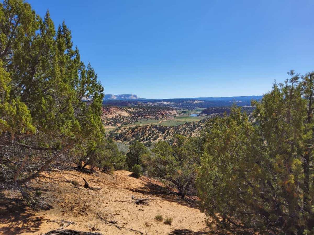 BLM 104H photo 2