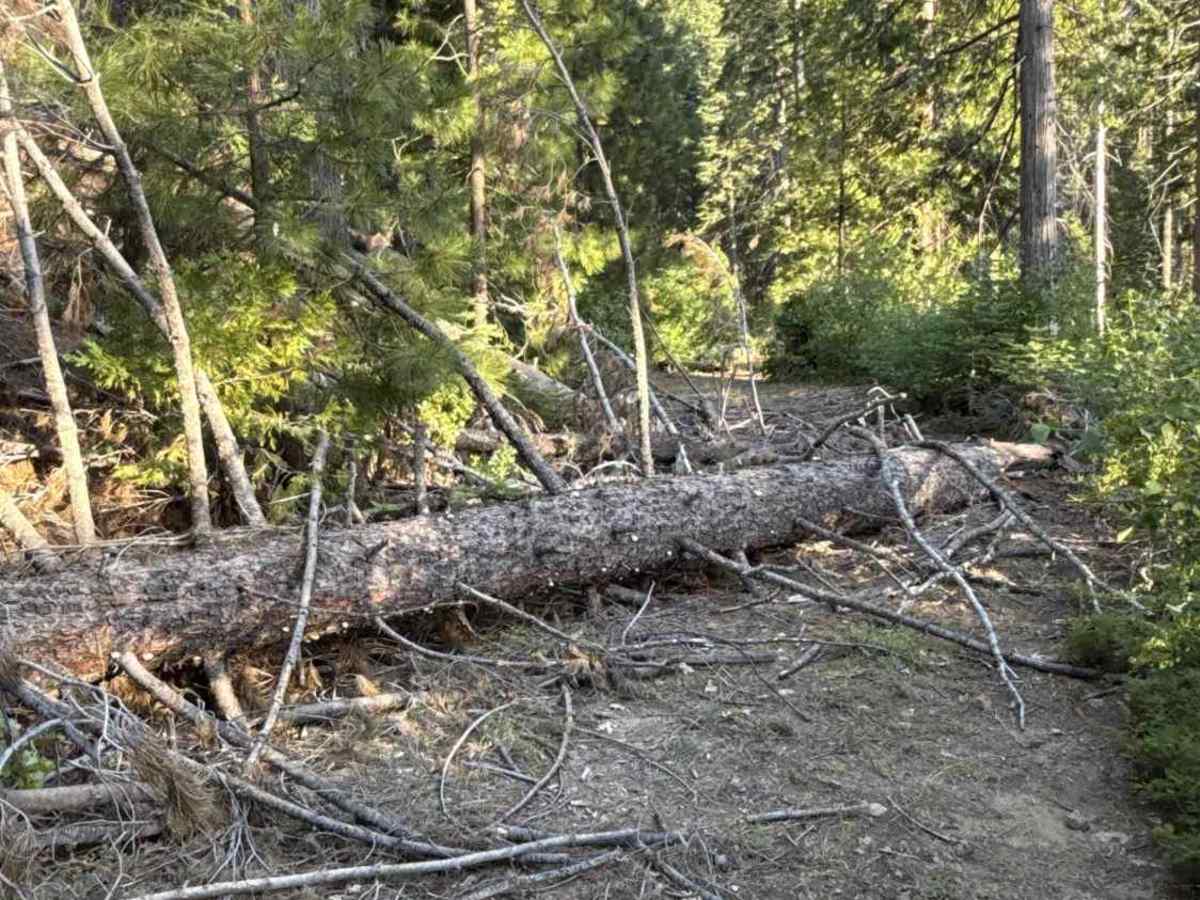 FS 4N11 trail photo