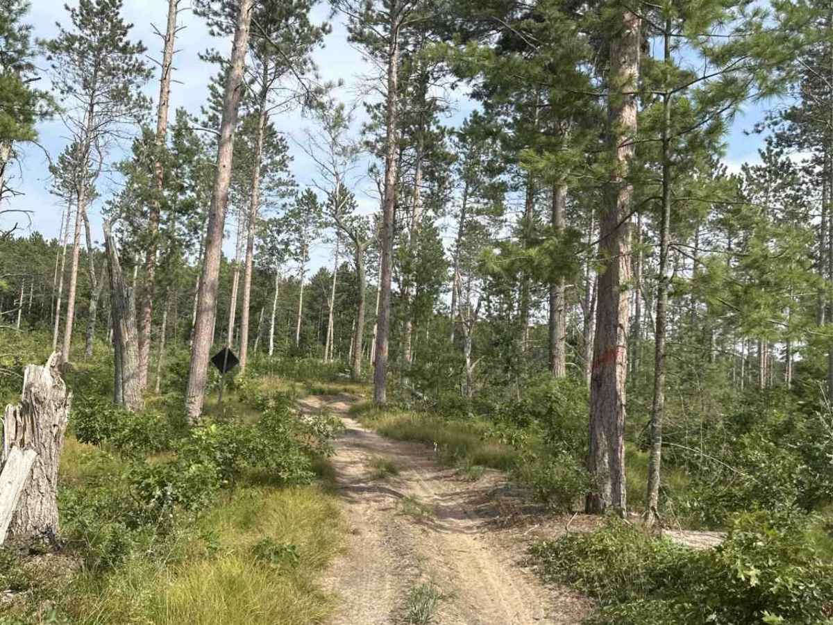 H8-3 Section 1 trail photo