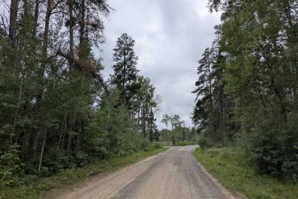 Thompson Forest Road 
