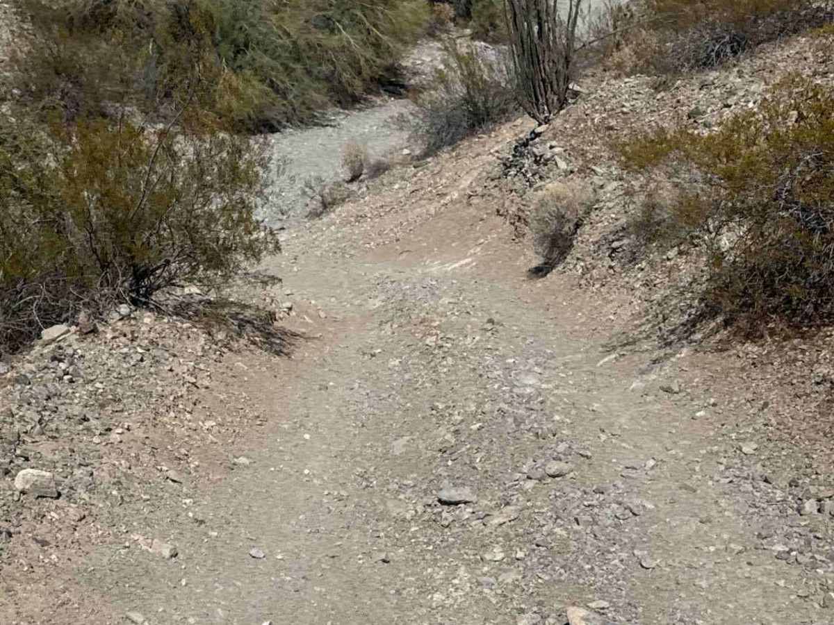 Hs03I trail photo