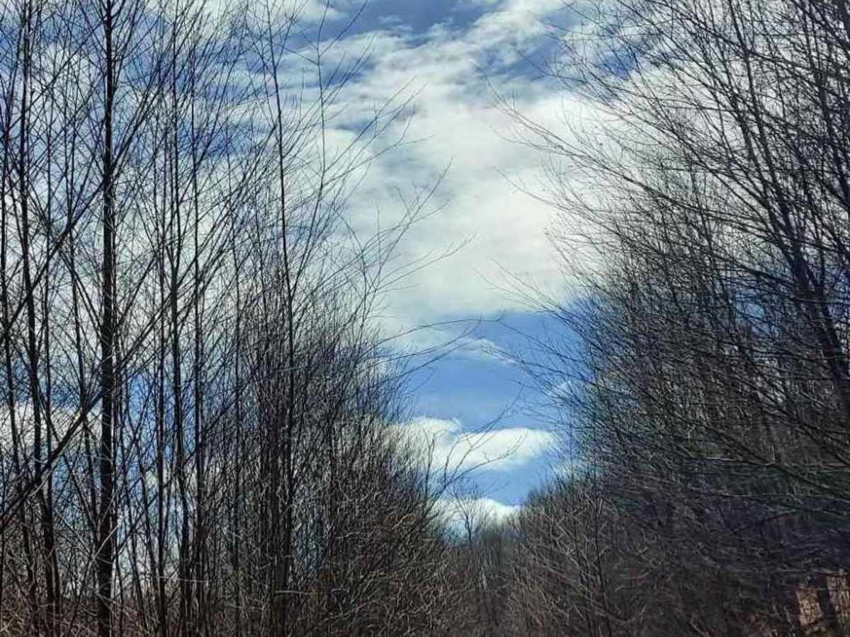Lick Run Road photo 4