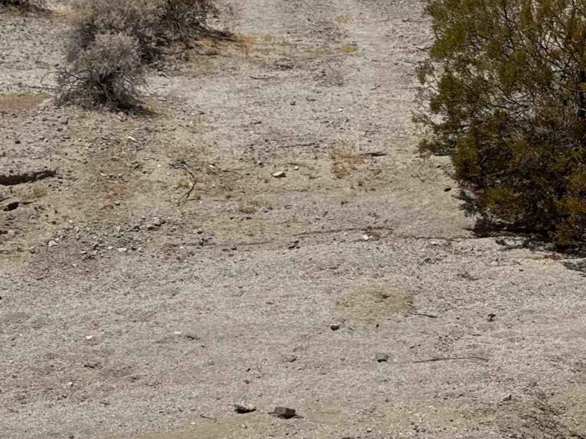 Across the Desert photo 2