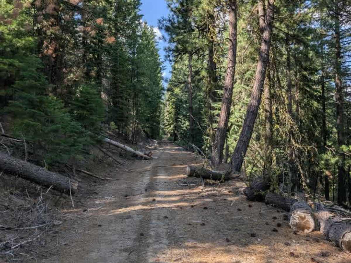 FS 4505000   trail photo
