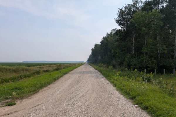 County Road 44