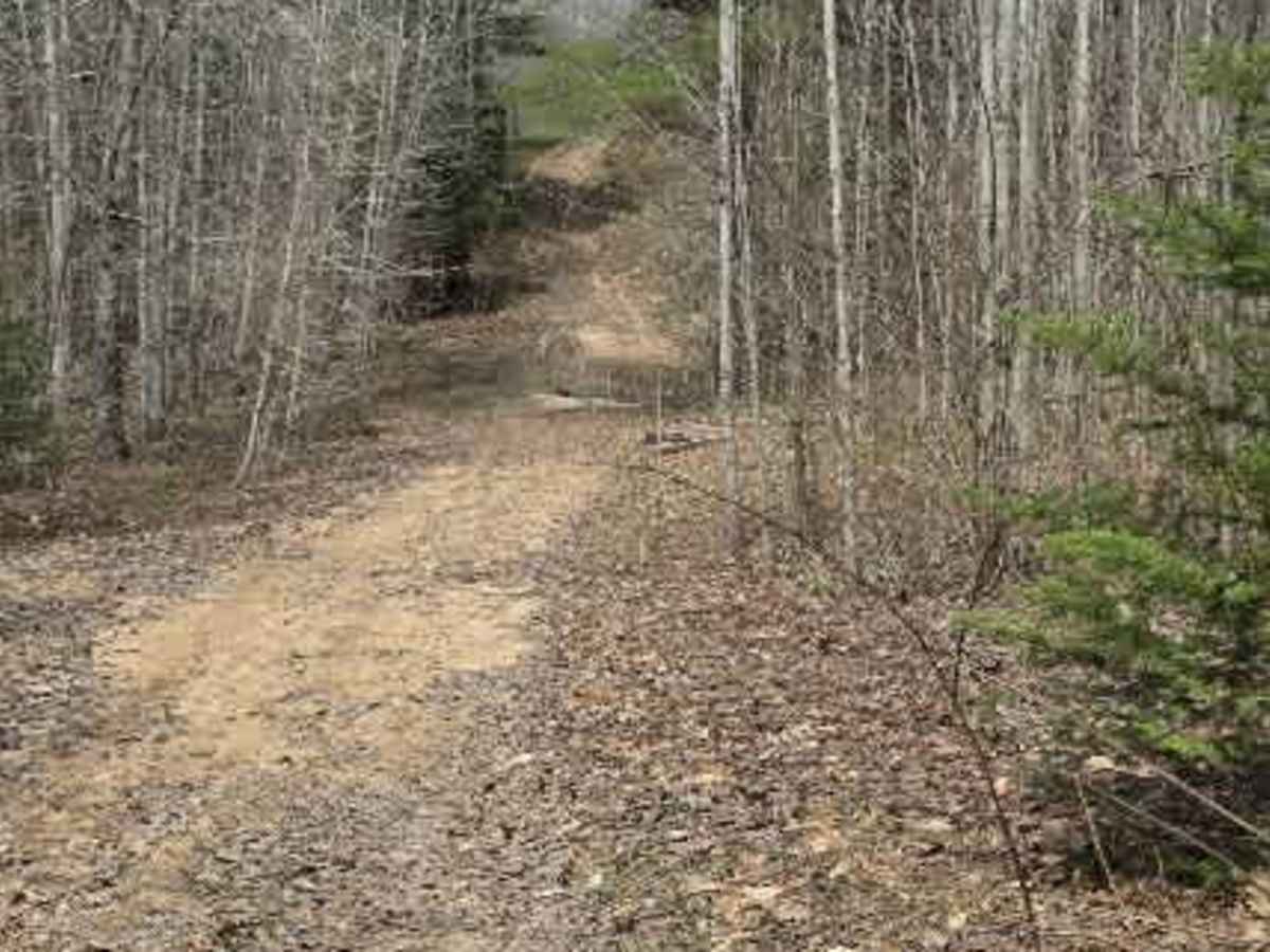 Holms Road Loop photo 3