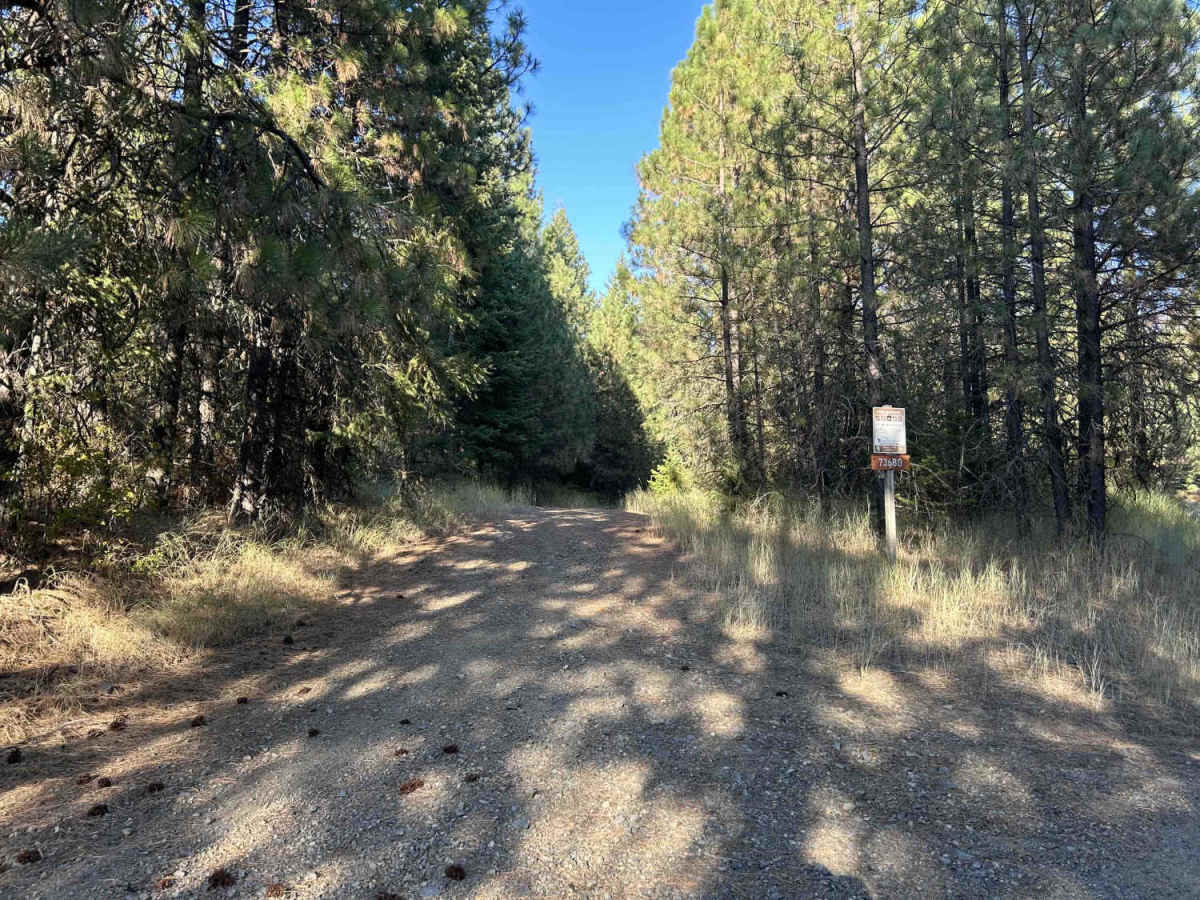Hoteling Creek C - FS 73680  trail photo
