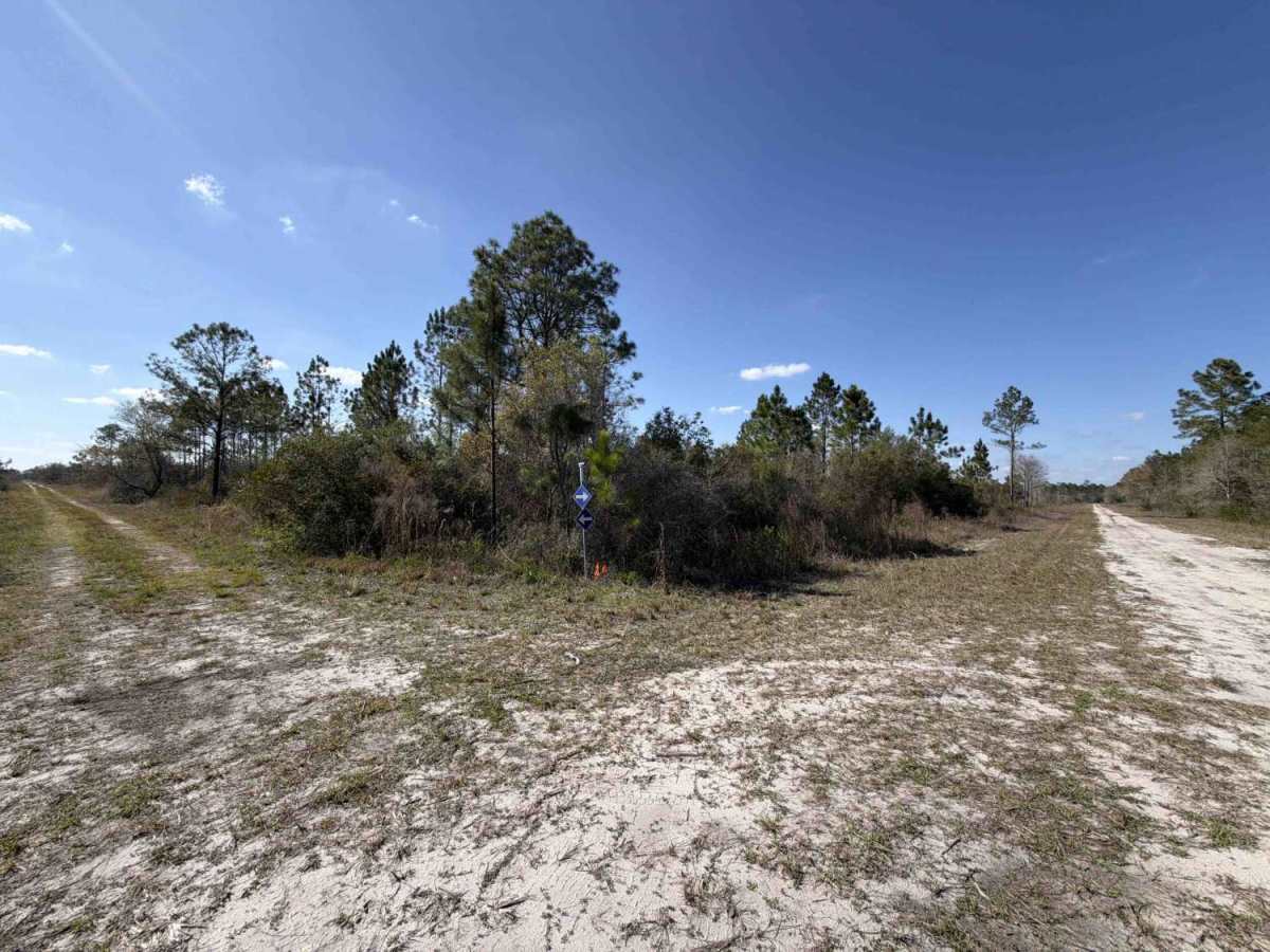 SFR 209 North photo 4