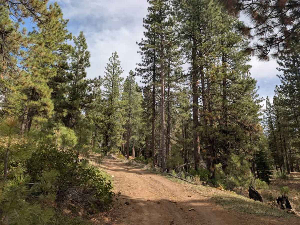 FS 24N61Y trail photo