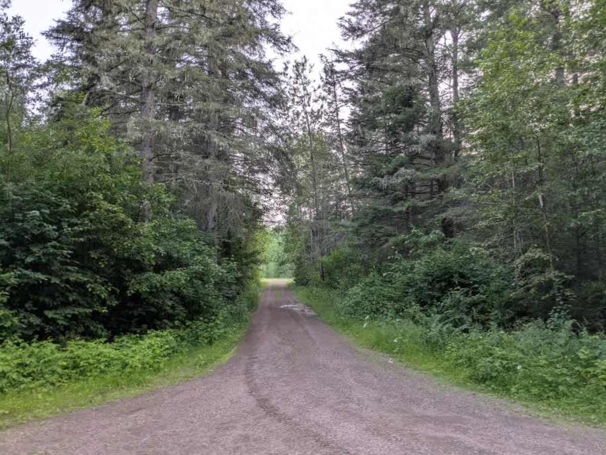 Devil Track Road photo 2