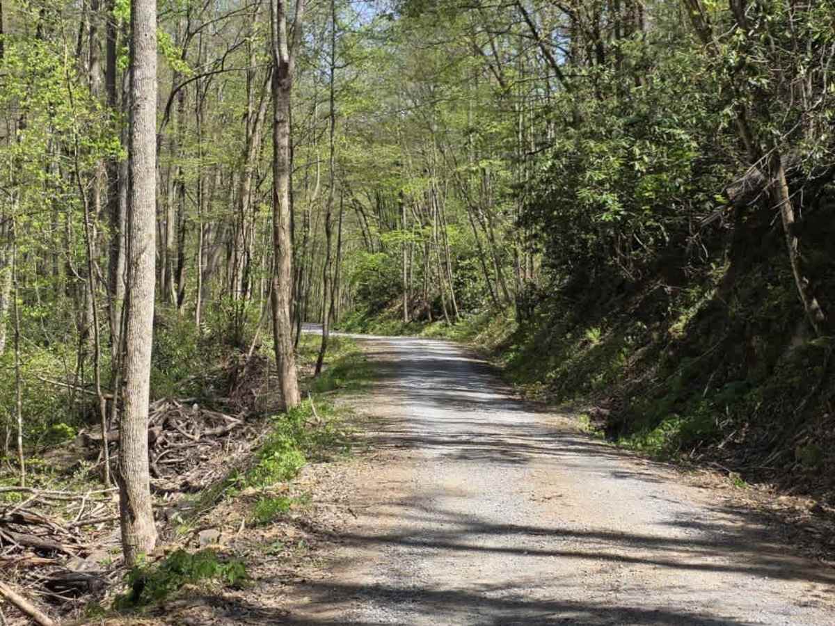 Panhandle Road photo 2