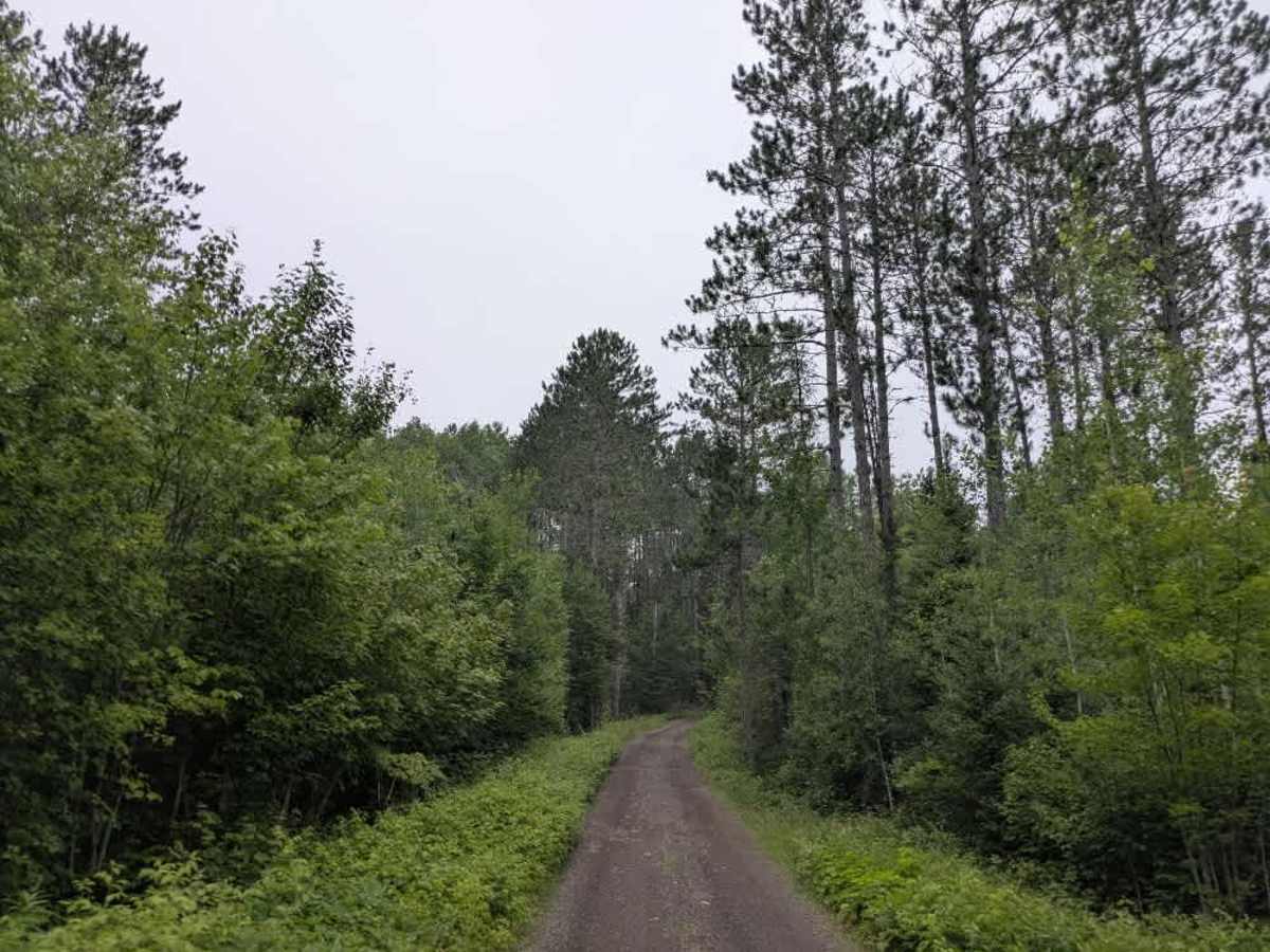 Lake Clara trail photo