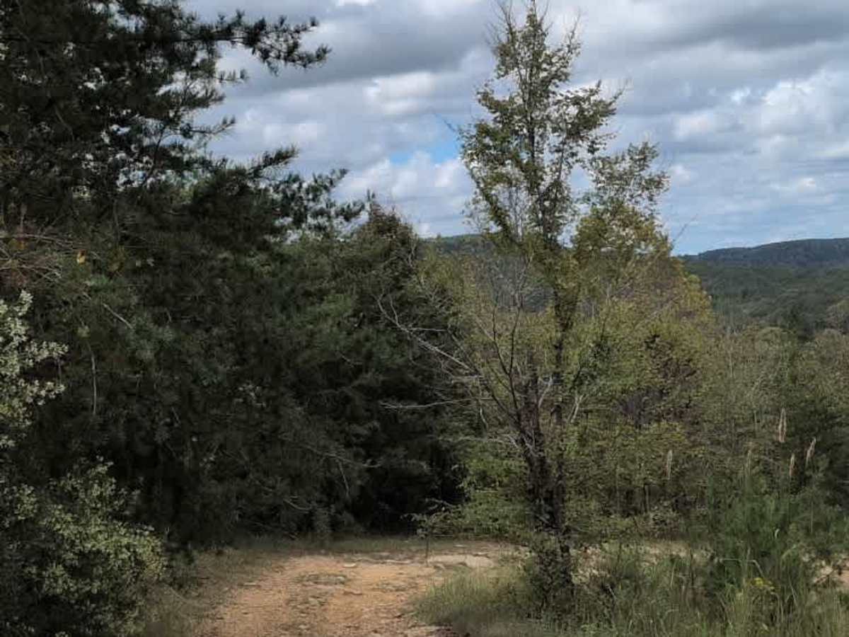 #38 Brokefoot Viewing Trail photo 4