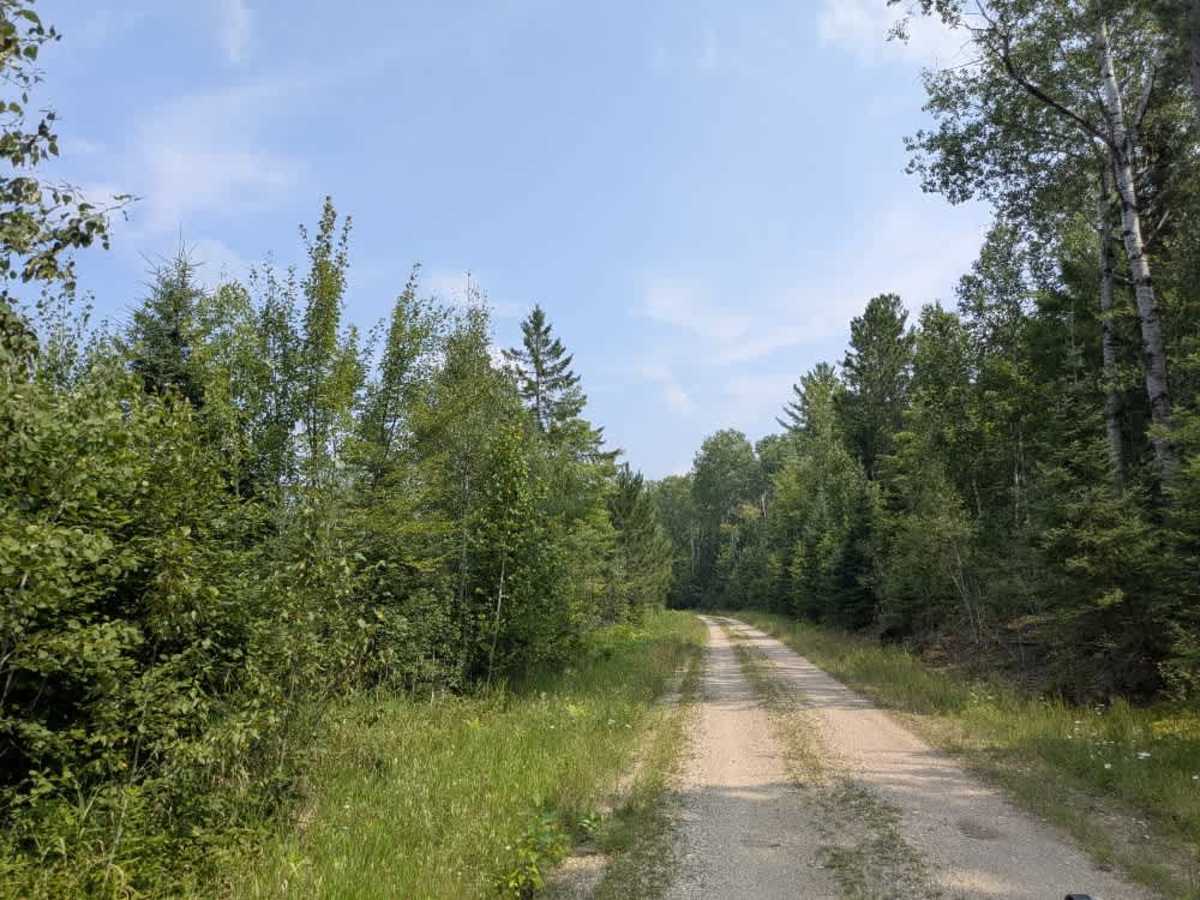 Biondich Road photo 5