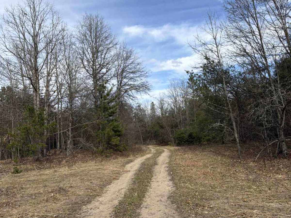 SF 11 trail photo